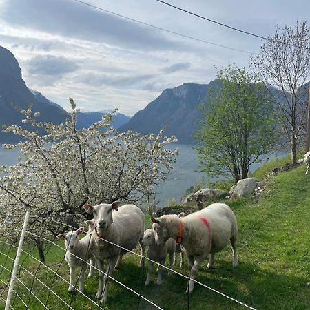 Aurland Stegastein Apartment Exterior foto